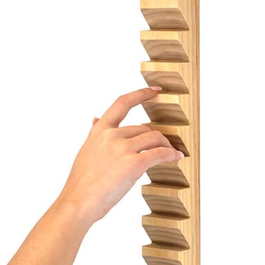 SHOULDER & FINGER LADDER