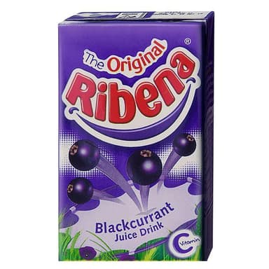 RIBENA (REGULAR) 250ML