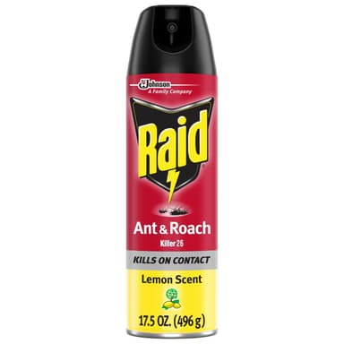 RAID COCKROACH & ANT KILLER