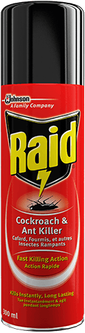 RAID 300ML(RED)