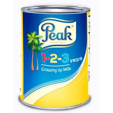 PEAK 123 MILK 400g TIN