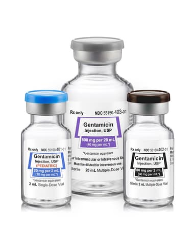 GENTAMYCIN INJECTION