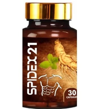 SPIDEX 21