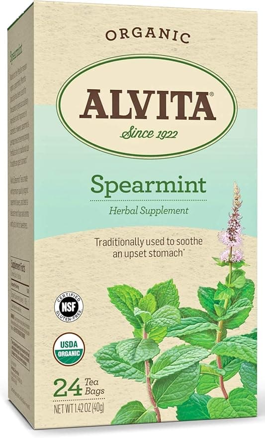 ALVITA ORGANIC SPEARMINT TEA X 24 BAGS