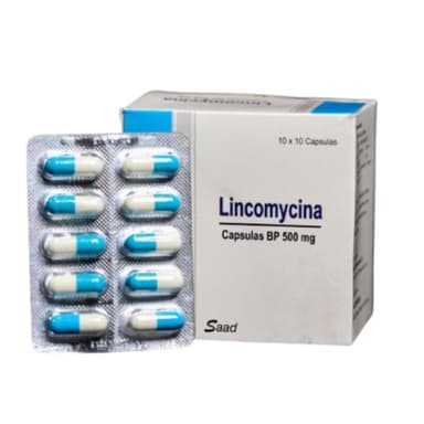 MEKOPHAR LINCOMYCIN 500MG X 100 CAPS