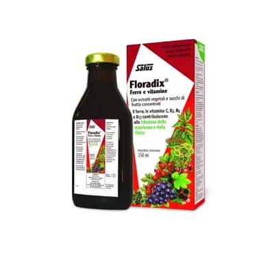 FLORADIX LIQUID IRON SYRUP