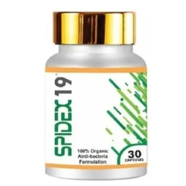 SPIDEX 19