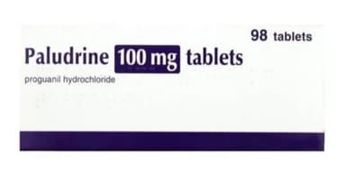 PALUDRINE TAB 100MG