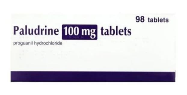 PALUDRINE TAB 100MG
