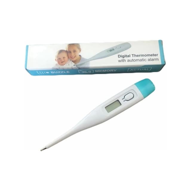 BUZZLE DIGITAL THERMOMETER