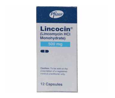LINCOMYCIN CAPS UNBRANDEDX 12