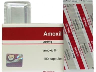 AMOXIL CAPSULES - 250MG