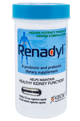 RENADYL KIDNEY HEALTH SUPPORT X 60 TABS