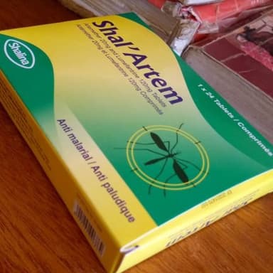 SHAL'ARTEM TABS X 24 (SHALINA)