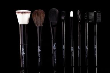 CLASSIC PERSONAL BRUSH