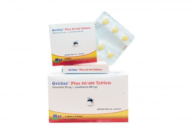 GVITHER PLUS 80/480 X 6