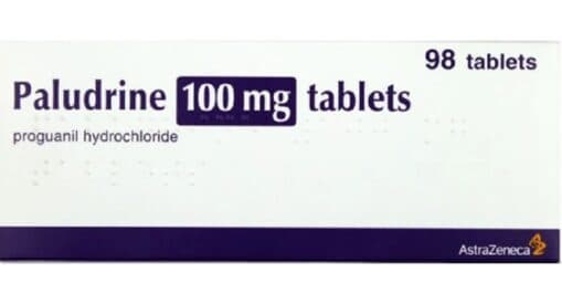PALUDRINE TABLETS