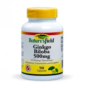 NATURE'S FIELD GINGKO BILOBA X90